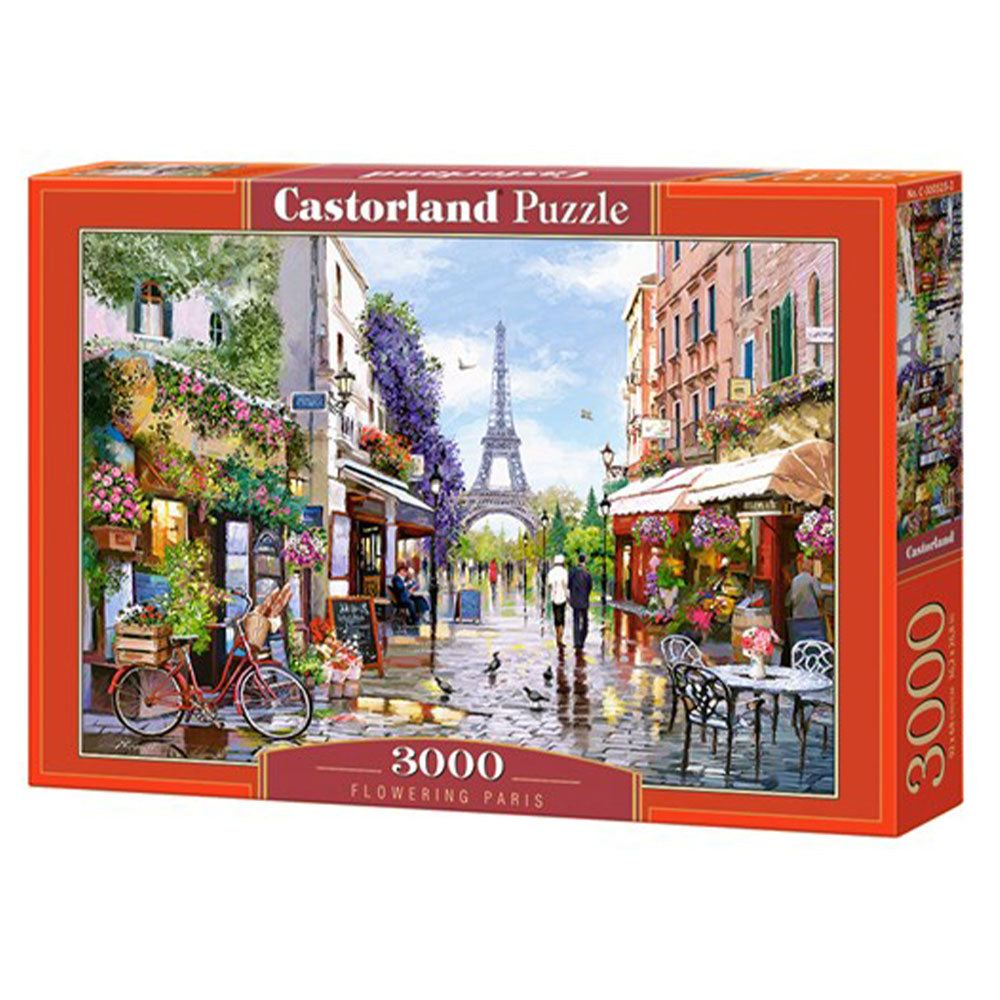 Castorland Classic Puzzle 3000 Teile
